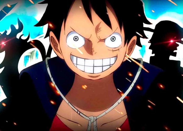 rahasia kelahiran Luffy